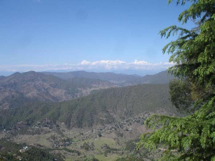 Hotel Crystal Palace Dhanaulti Exterior photo